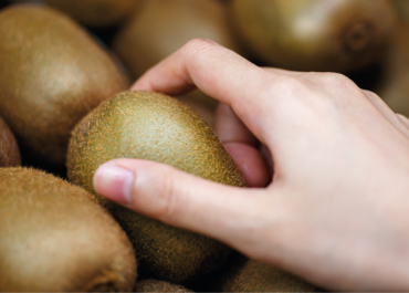Kiwi Fruit: How to choose it for consumption